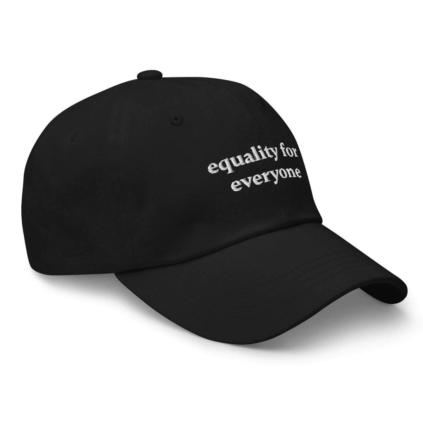 Equality for Everyone