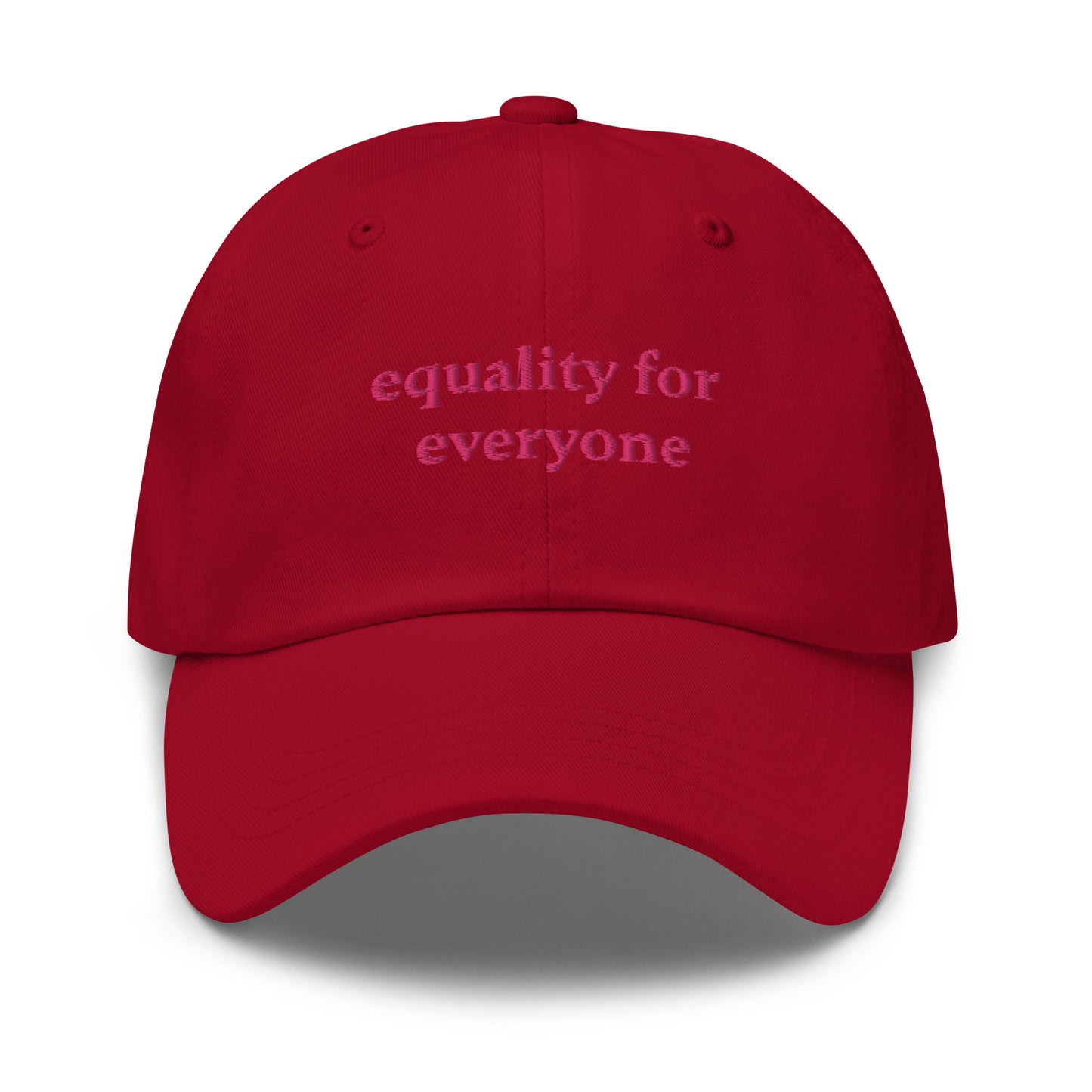 Equality for Everyone